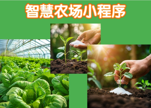 <b>智慧農場小程序：革新農業，賦能未來——引領新時代智慧農業潮流</b>