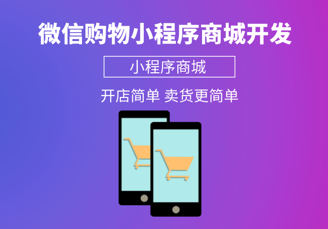 <b>商城小程序app開發：打造B2C品牌自營商城平臺</b>