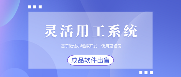 <b>靈活用工管理系統(tǒng)開發(fā)：打造智能化、高效化的用工新模式</b>